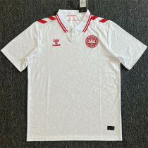 2024 Denmark Away Fans Version Thailand Quality