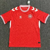 2024 Denmark home Fans Version Thailand Quality