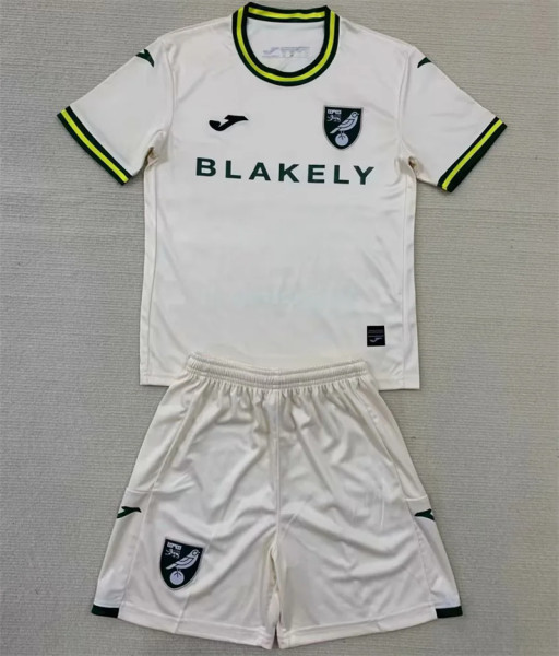 Kids kit 24-25 Norwich City Third Away Thailand Quality