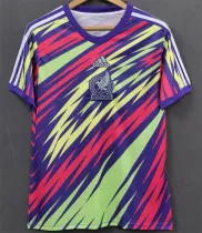 2002 Mexico (Training clothes) Retro Jersey Thailand Quality