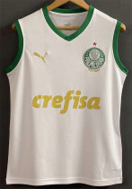 24-25 SE Palmeiras (vest) Fans Version Thailand Quality