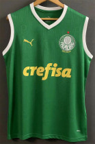 24-25 SE Palmeiras (vest) Fans Version Thailand Quality