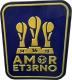 Club América 3 consecutive championships蓝