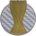 24 Champion 金