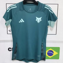 25-26 Cruzeiro (Special Edition) Women Jersey Thailand Quality