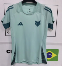 25-26 Cruzeiro (Special Edition) Women Jersey Thailand Quality