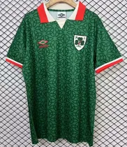 2025 Ireland home Fans Version Thailand Quality