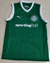 25-26 SE Palmeiras home (vest) Fans Version Thailand Quality