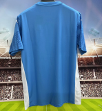 25-26 SE Palmeiras (Goalkeeper) Fans Version Thailand Quality