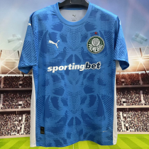 25-26 SE Palmeiras (Goalkeeper) Fans Version Thailand Quality