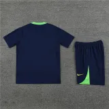 2024 Brazil (Training clothes) Adult Jersey & Short Set Quality
