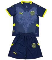 25-26 Fenerbahçe S.K.(Special Edition) Set.Jersey & Short High Quality