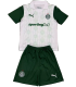 25-26 SE Palmeiras Away Set.Jersey & Short High Quality