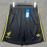 2025 Mexico (Special Edition) Soccer shorts Thailand Quality