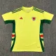2024 Wales Away Fans Version Thailand Quality