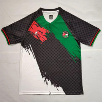 2025 Palestine Fans Version Thailand Quality