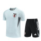 2025 Japan (Training clothes) Adult Jersey & Short Set Quality