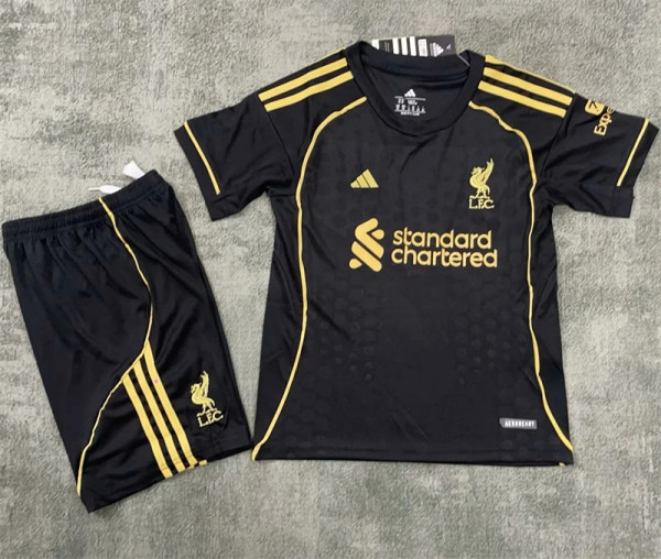 Kids kit 25-26 Liverpool Away Thailand Quality