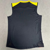 25-26 Atlético Mineiro (vest) Fans Version Thailand Quality