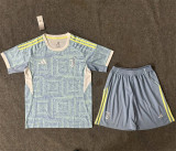 25-26 Juventus FC Away Set.Jersey & Short High Quality