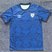 2025 Guatemala (Special Edition) Fans Version Thailand Quality