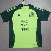 2025 Mexico (Special Edition) Fans Version Thailand Quality