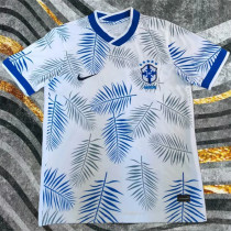 2025 Brazil (Special Edition) Fans Version Thailand Quality