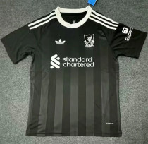 25-26 Liverpool (Goalkeeper) Fans Version Thailand Quality