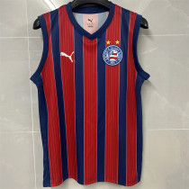 25-26 Bahia Away (vest) Fans Version Thailand Quality