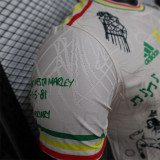 25-26 Ajax (Special Edition) Player Version Thailand Quality