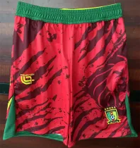 25-26 Senegal Soccer shorts Thailand Quality