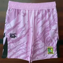 25-26 Senegal Soccer shorts Thailand Quality