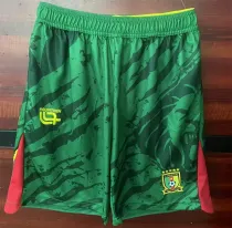 25-26 Senegal Soccer shorts Thailand Quality