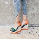 Arden Furtado Summer Fashion Trend Women's Shoes Mixed Colors Narrow Band Waterproof Classics Elegant Buckle Wedges Sandals