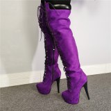 Arden Furtado Fashion Women's Shoes Winter Round Toe Stilettos Heels Zipper Elegant pure color Platform purple Thigh High Boots