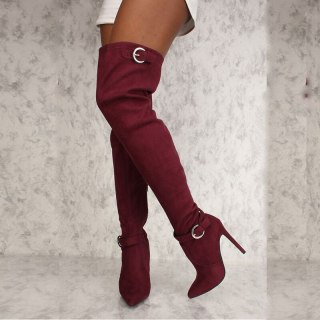 Arden Furtado Fashion Women's Shoes Winter Mature pure color Pointed Toe Stilettos Heels pink burgundy Thigh High Boots