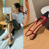 Arden Furtado Summer Fashion Trend Women's Shoes Sweet Pointed Toe  Concise Mature  Sandals Mixed Colors
