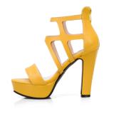 Arden Furtado Summer Fashion Trend Women's Shoes Waterproof Back zipper yellow White Chunky Heels Sandals Party Shoes