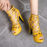 Arden Furtado Summer Fashion Women's Shoes Chunky Heels Zipper Sexy Mature Elegant pure color Cool boots Waterproof Sandals