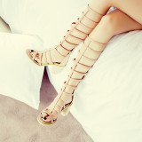 Arden Furtado Summer Fashion Trend Women's Shoes Chunky Heels Zipper Gladiator Sexy Elegant pure color Sandals Back zipper