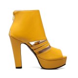 Arden Furtado Summer Fashion Trend Women's Shoes  Chunky Heels Zipper Sexy Elegant pure color Ladies Boots Cool boots Concise