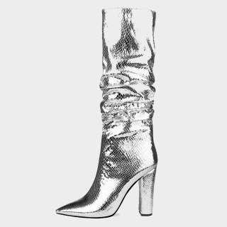 Arden Furtado Fashion Women's Shoes Winter Pointed Toe Chunky Heels  Sexy Elegant Ladies Boots Concise Mature pure color silver
