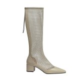 Arden Furtado 2020 Summer Fashion Women's Shoes White Classics back Zipper Square heels Sexy Elegant knee high Mesh Boots 33  40