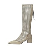 Arden Furtado 2020 Summer Fashion Women's Shoes White Classics back Zipper Square heels Sexy Elegant knee high Mesh Boots 33  40