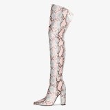 Arden Furtado Fashion Women's Shoes Winter  Sexy Serpentine Pointed Toe Chunky Heels  New Zipper Over The Knee High Boots 44 45