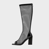 Arden Furtado Summer Fashion Women's Shoes Elegant  Back Peep Toe  Zipper Mesh Boots Knee High Boots Chunky Heels 34-43