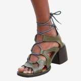 Arden Furtado Summer Fashion Women's Shoes Sexy Genuine Leather Brown  Narrow Band  Elegant Chunky Heels Sandals
