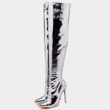 Arden Furtado Fashion Women's Shoes Winter  Sexy Silver  Pointed Toe  New Zipper Over The Knee High Boots