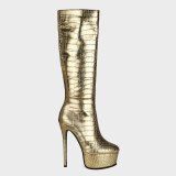 Arden Furtado Autumn Fashion Women's Shoes Sexy Platform Waterproof Pure Color Gold Silver  Knee High Boots Elegant 44 45