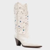 Arden Furtado spring autumn Winter Boots Shoes Elegant Knee High Boots White Slip-on Pointed Toe Chunky Heels 41 42 43